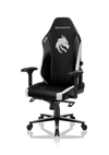 Athena Pro Gaming Chair