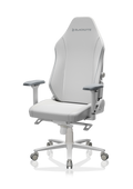 Athena Pro Gaming Chair
