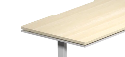 Atlas Lite Standing Desk