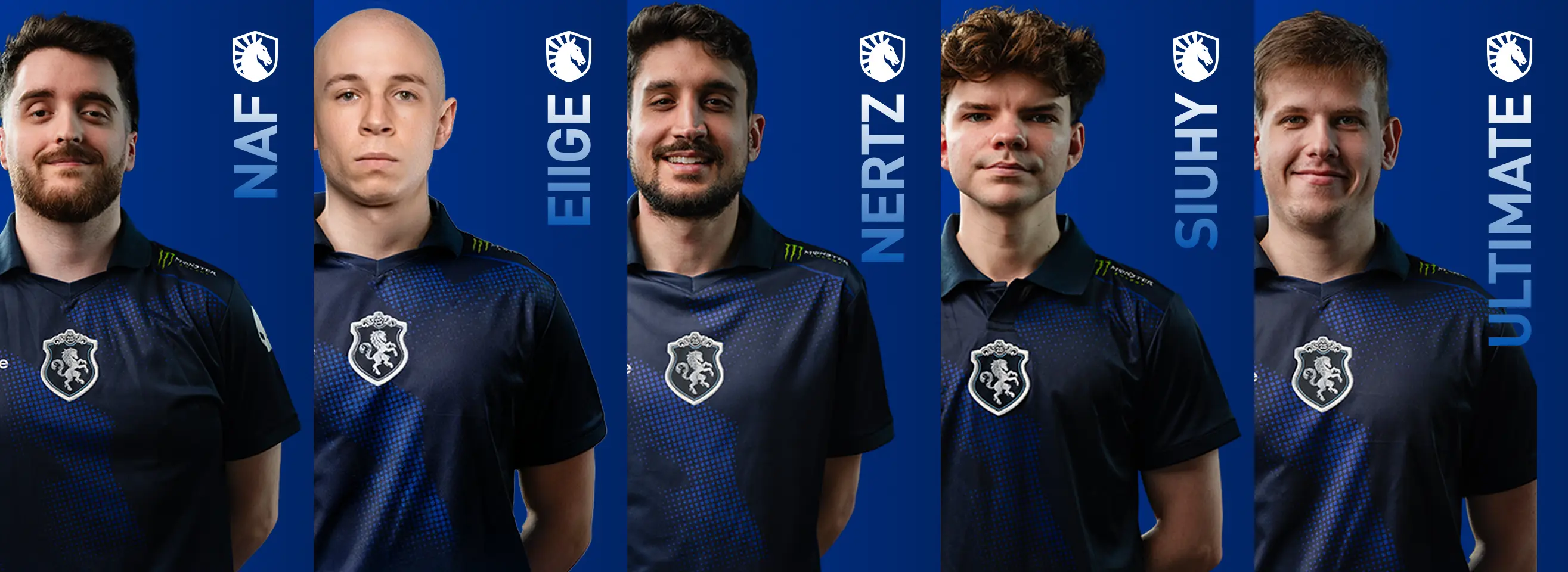 Team Liquid Color Official Team Liquid Gaming Chair | Blacklyte EU