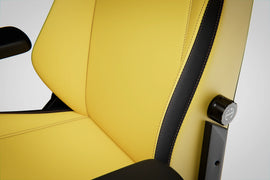 Blacklyte Athena Gaming Chair