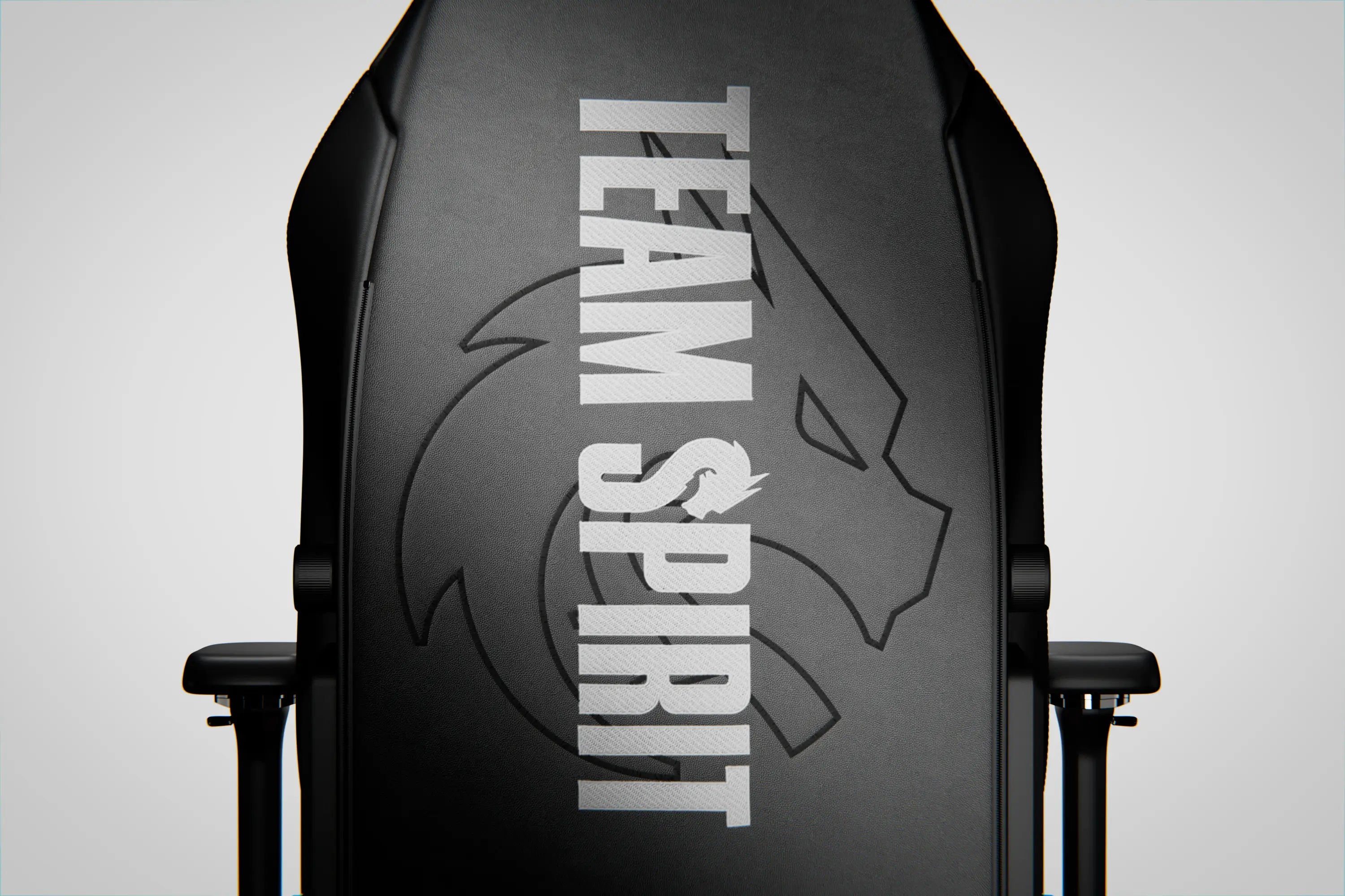 Back view of team spirit edition gaming chair